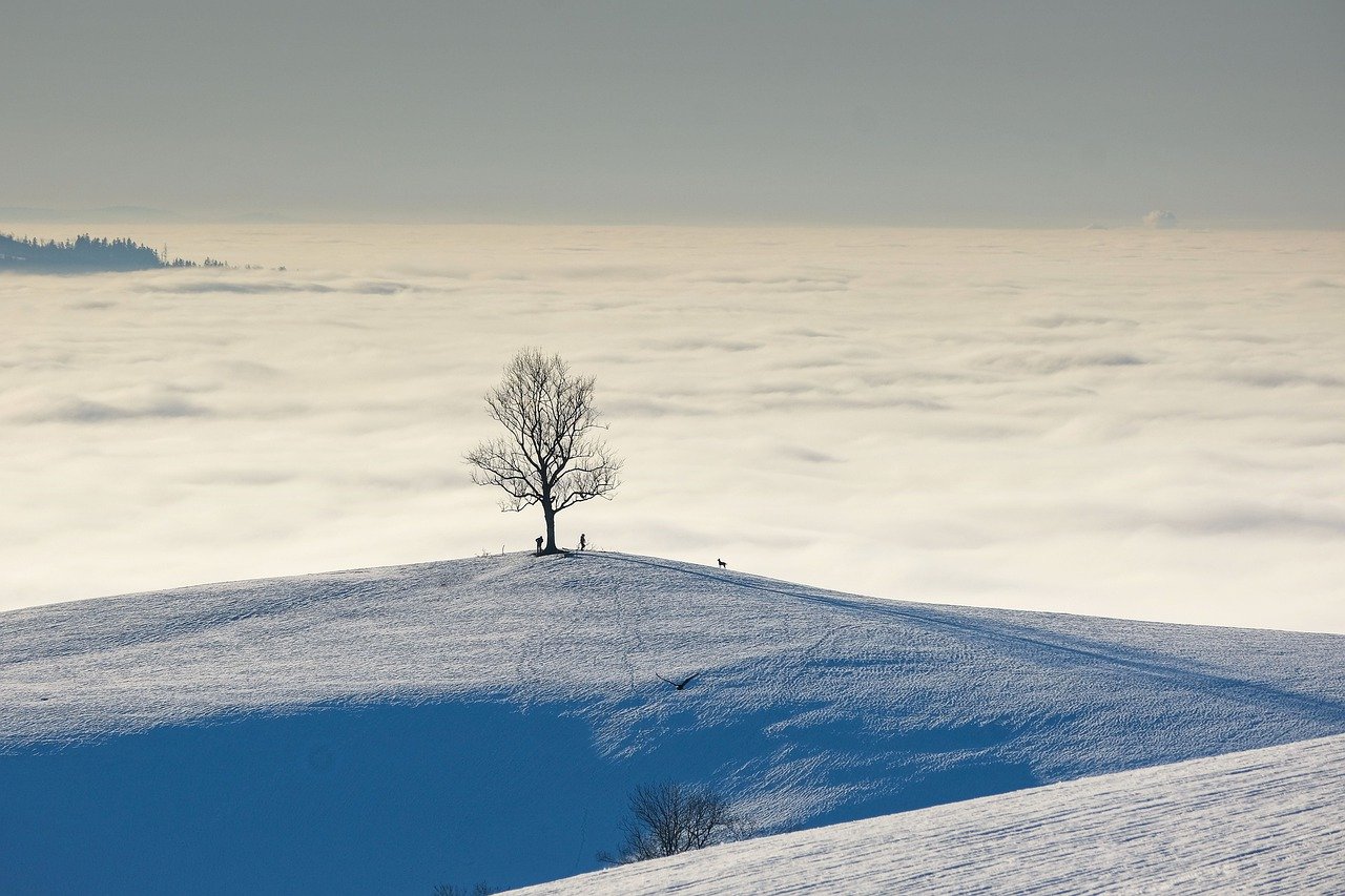 How to Use Leading Lines to Enhance Your Travel Photos